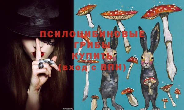 твердый Армянск